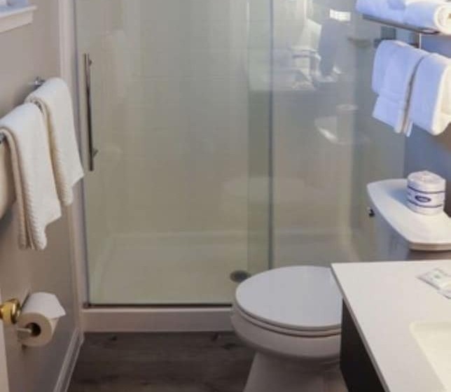 Номер Стандарт 2 Двуспальные Кровати, Quality Inn South Lake Tahoe