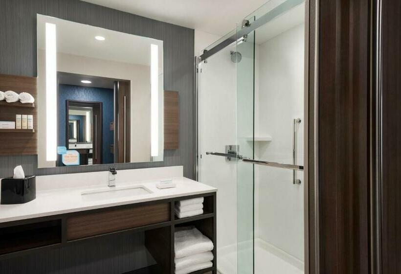 Стандартный Номер Кровать Кинг, Hilton Garden Inn Milwaukee Brookfield Conference Center, Wi