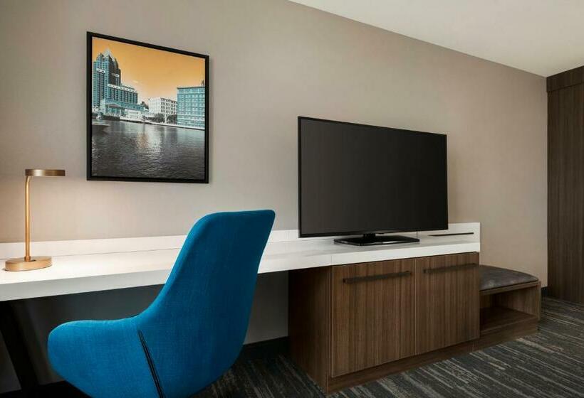 장애인을 위한 킹사이즈 침대 스탠다드 룸, Hilton Garden Inn Milwaukee Brookfield Conference Center, Wi