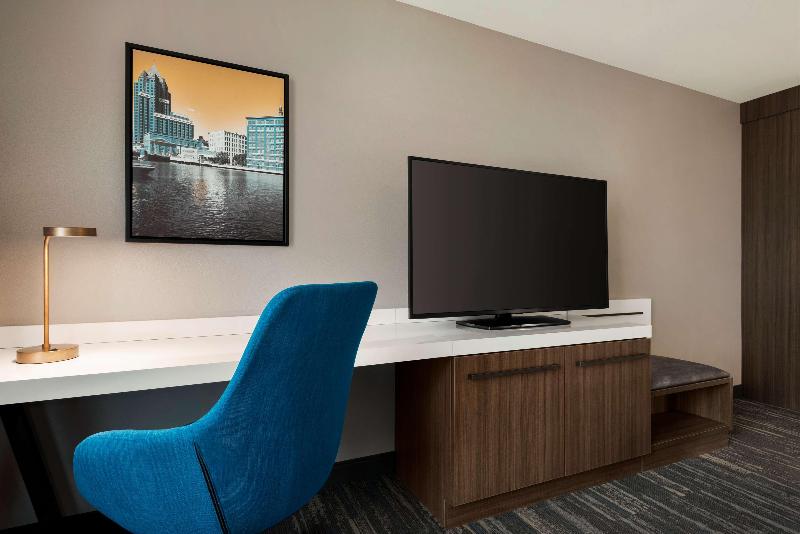 스탠다드 룸 킹사이즈 침대, Hilton Garden Inn Milwaukee Brookfield Conference Center, Wi