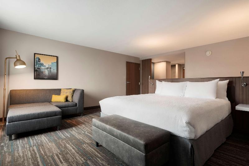 스탠다드 룸 킹사이즈 침대, Hilton Garden Inn Milwaukee Brookfield Conference Center, Wi