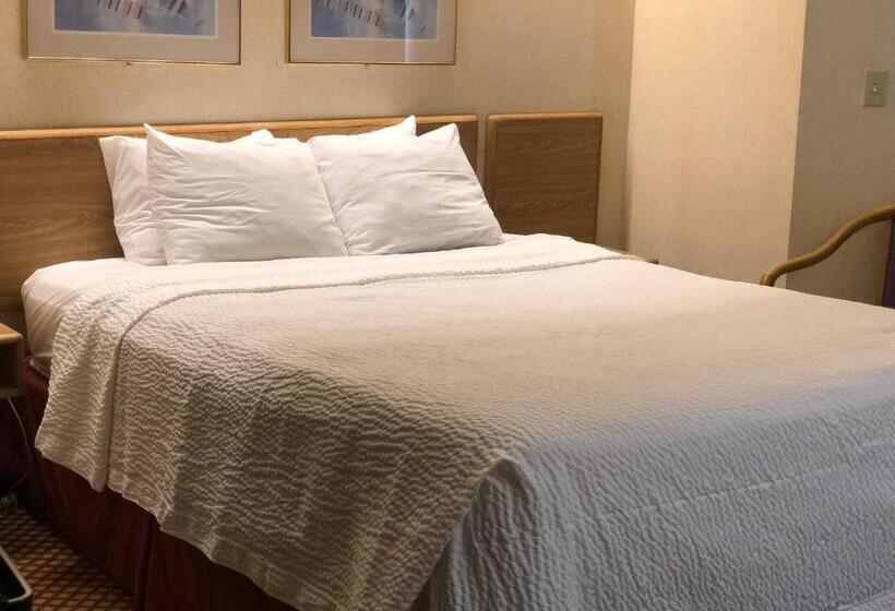 اتاق استاندارد, Airport Lodging Pittsburgh Airport