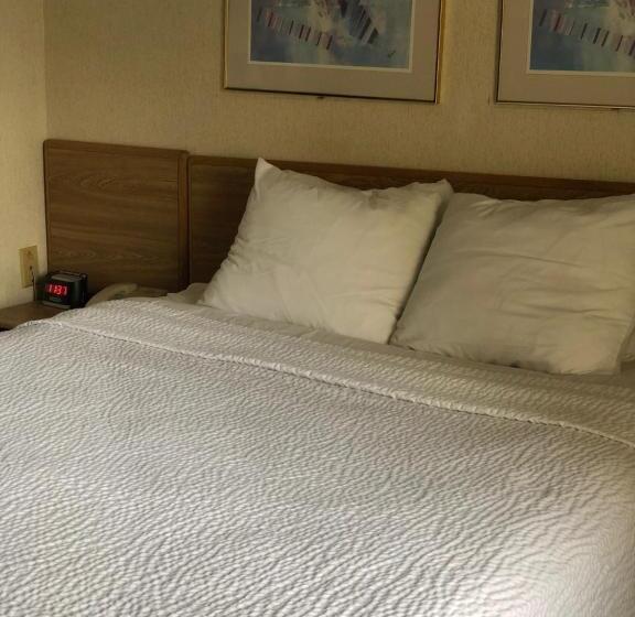 اتاق استاندارد, Airport Lodging Pittsburgh Airport