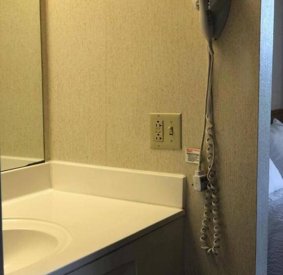 اتاق استاندارد برای معلولان, Airport Lodging Pittsburgh Airport