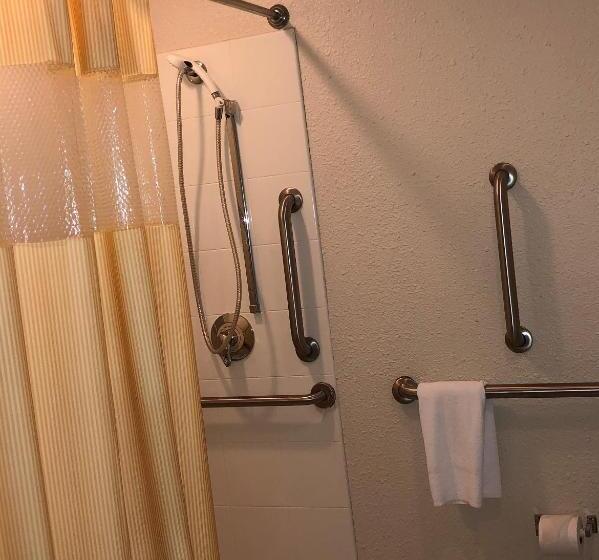 اتاق استاندارد یک تخته برای معلولان, Airport Lodging Pittsburgh Airport