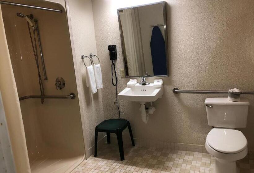 اتاق استاندارد یک تخته برای معلولان, Airport Lodging Pittsburgh Airport