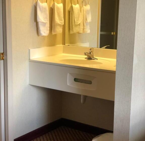 سوییت, Airport Lodging Pittsburgh Airport