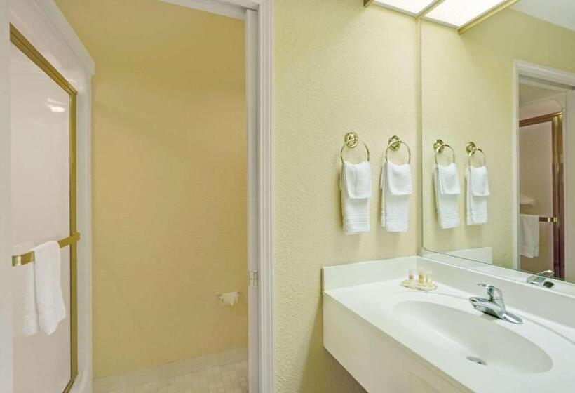 اتاق استاندارد یک نفره, Airport Lodging Pittsburgh Airport