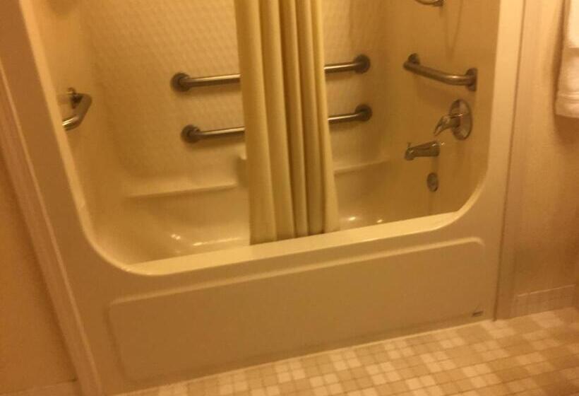 اتاق استاندارد برای معلولان, Airport Lodging Pittsburgh Airport