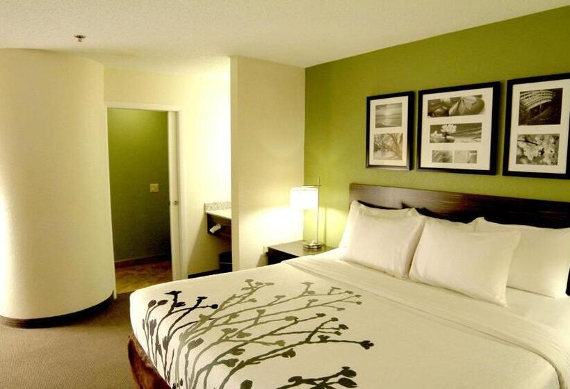 Стандартный Номер Кровать Кинг, Sleep Inn Sandusky