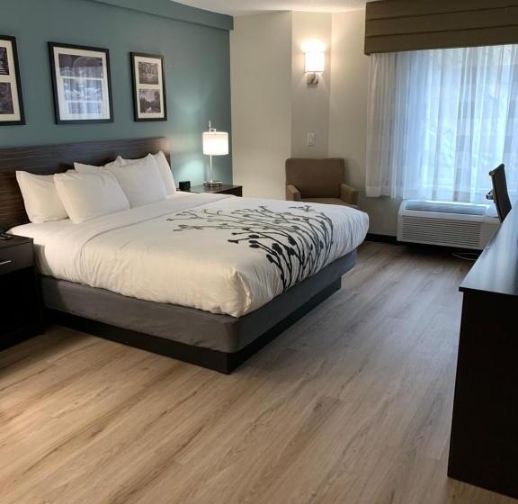 Стандартный Номер Кровать Кинг, Sleep Inn