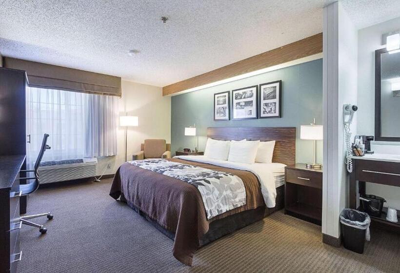 스탠다드 룸 킹사이즈 침대, La Vista Inn
