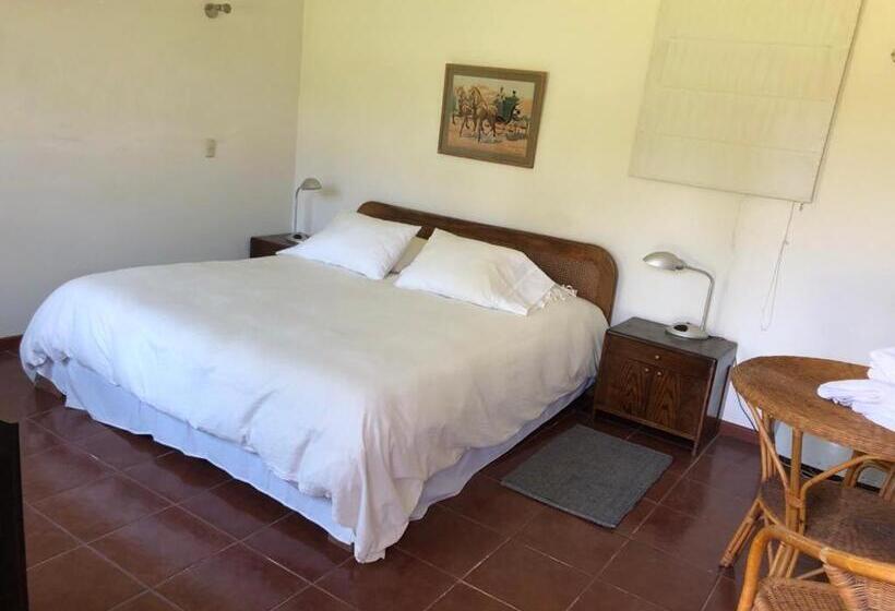سوییت, Casa Los Ciervos