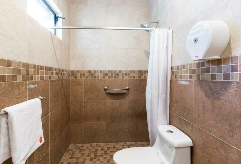 اتاق استاندارد, Capital O Hotel Vitale