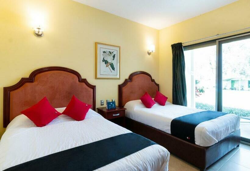اتاق استاندارد, Capital O Hotel Vitale