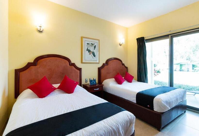 اتاق استاندارد, Capital O Hotel Vitale