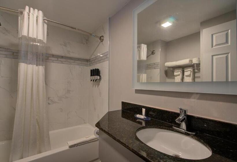 חדר סטנדרט שתי מיטות זוגיות, Clarion Pointe Tampa Brandon Near Fairgrounds And Casino