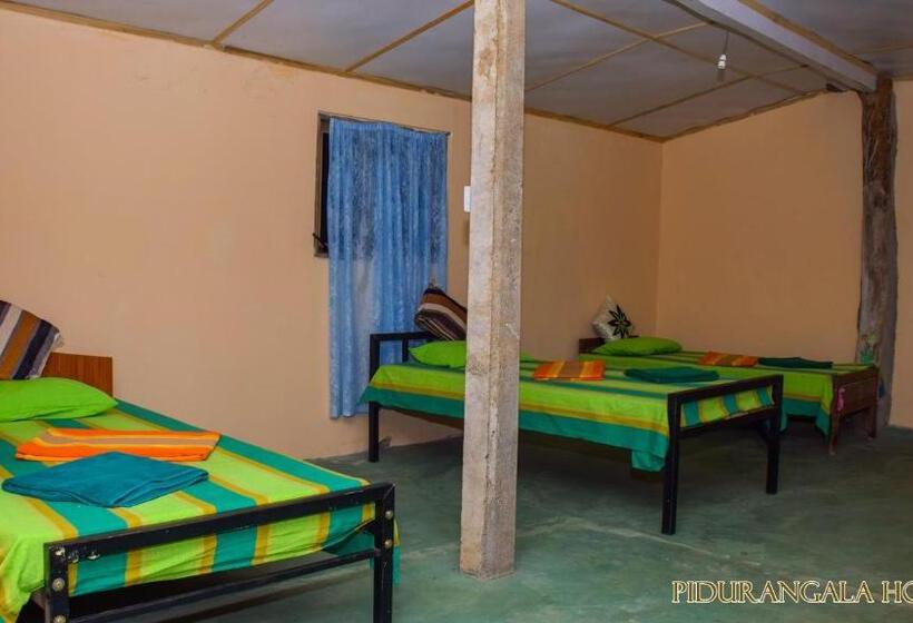 מיטה בחדר משותף, Pidurangala Hostel