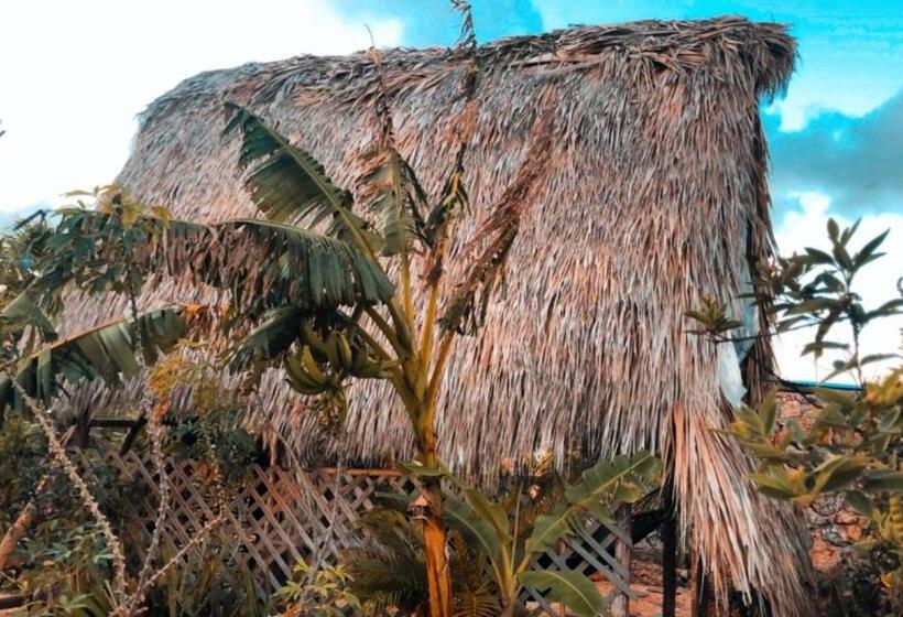 اتاق استاندارد, Guaigüí Bayahibe