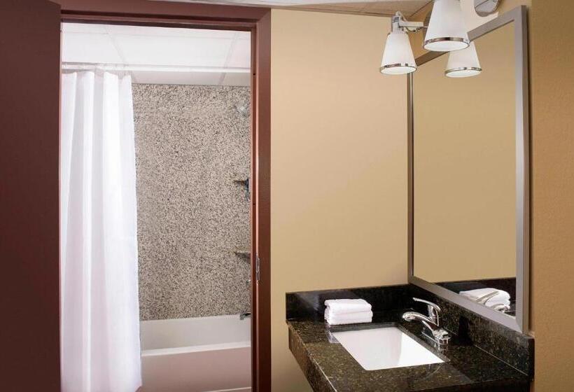 اتاق استاندارد با بالکن و چشم‌انداز دریا, Four Points By Sheraton Virginia Beach Oceanfront