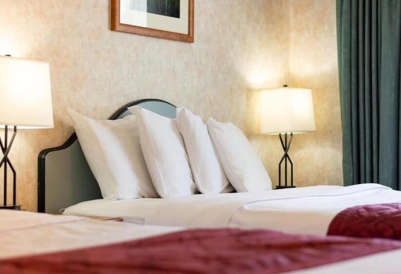 Апартаменты 1 Спальня, Swiss Alps Inn