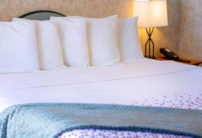 Номер Economy, Swiss Alps Inn