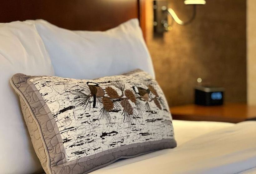 اتاق لوکس, Maine Evergreen Hotel, Ascend Hotel Collection