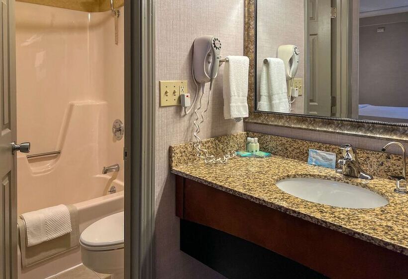 اتاق استاندارد با 2 تخت دوبل, Maine Evergreen Hotel, Ascend Hotel Collection