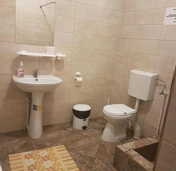 اتاق خانوادگی, Casa Stefan Galati