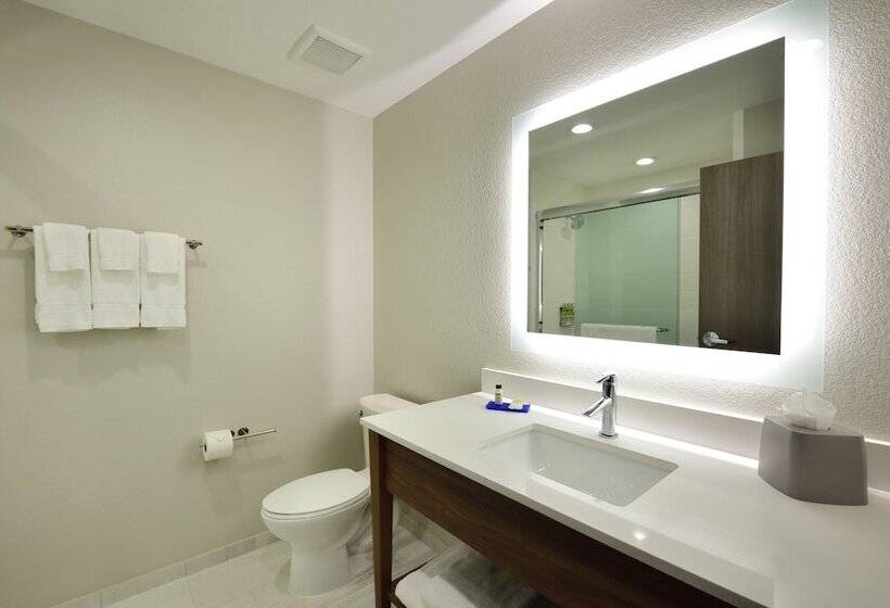 Люкс Адаптированный для Инвалидов, Holiday Inn Express & Suites Spring   Woodlands Area, An Ihg