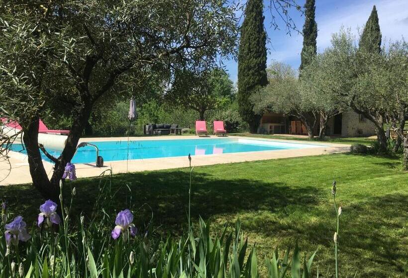 اتاق استاندارد با چشم‌انداز باغ, La Maison Des Olivettes