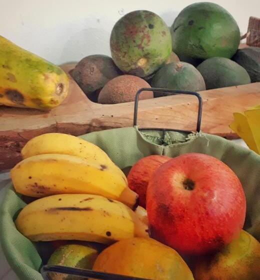 스탠다드 룸, Ecohostel Dos Canyons Santa Catarina