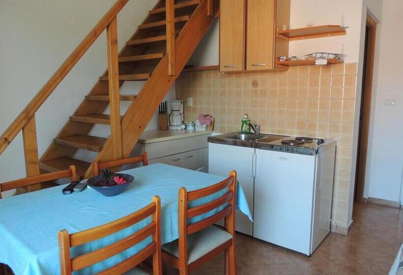 استودیوی استاندارد, Apartments Mijic