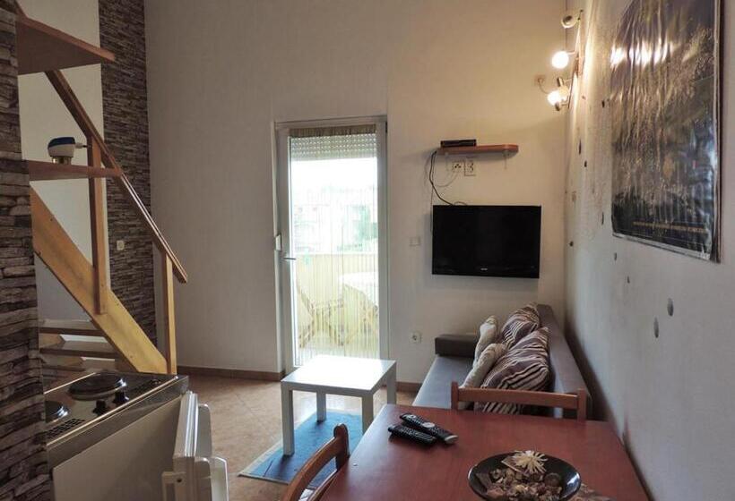 استودیوی استاندارد, Apartments Mijic