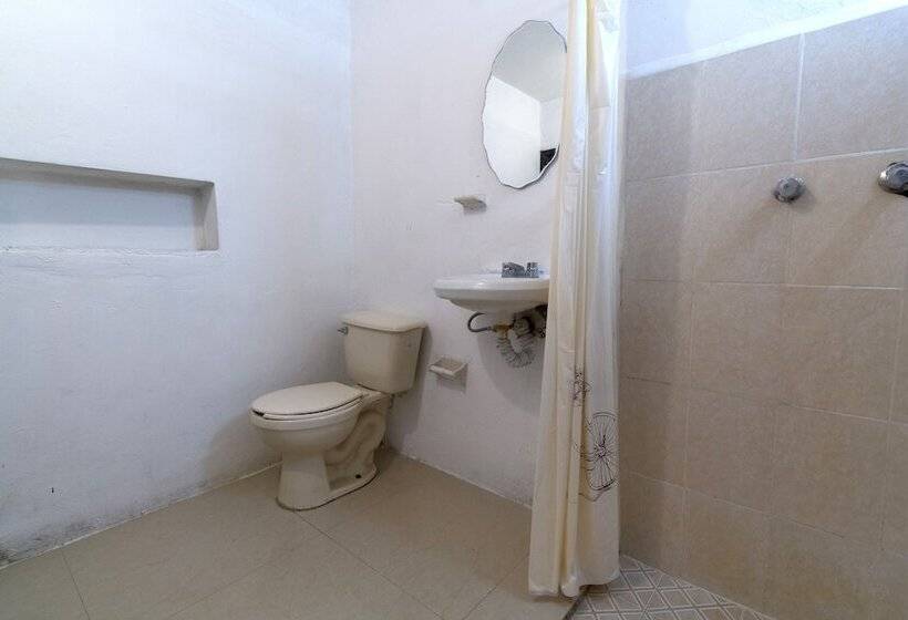 اتاق استاندارد, Punta Guadalupe