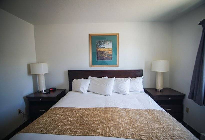 ２ベッドスイートルーム, Travelodge By Wyndham Colorado Springs Airport/peterson Afb