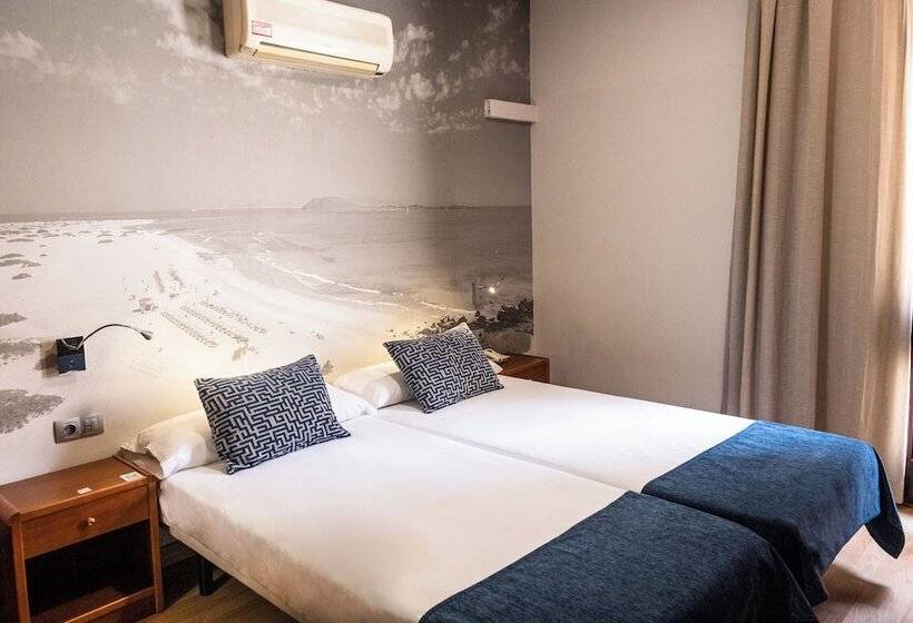 Quarto Estandar, Adonis Plaza