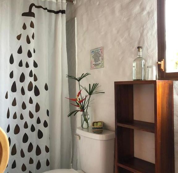 Студио Стандарт с Террасой, Hostal Los Orishas