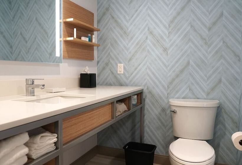 스탠다드 룸 더블 침대, Hilton Garden Inn Ocala Downtown