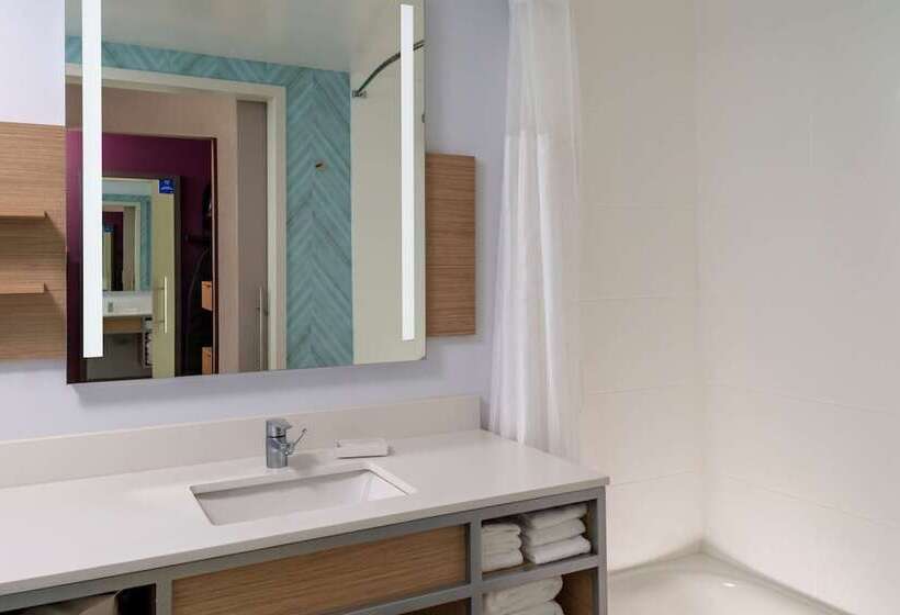 스탠다드 룸 더블 침대, Hilton Garden Inn Ocala Downtown