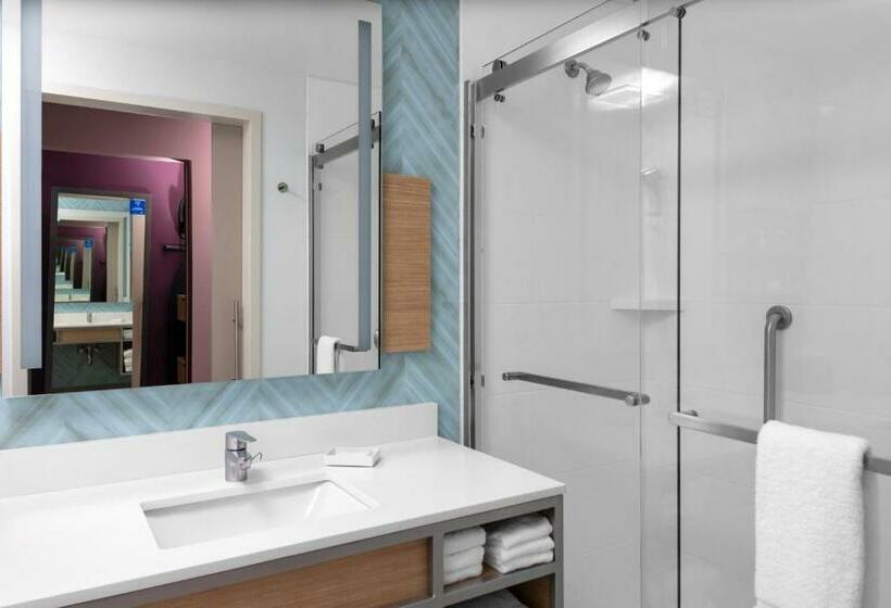 스탠다드 룸 킹사이즈 침대, Hilton Garden Inn Ocala Downtown