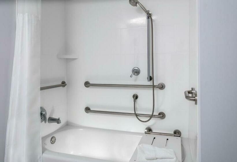 장애인을 위한 킹사이즈 침대 스탠다드 룸, Hilton Garden Inn Ocala Downtown