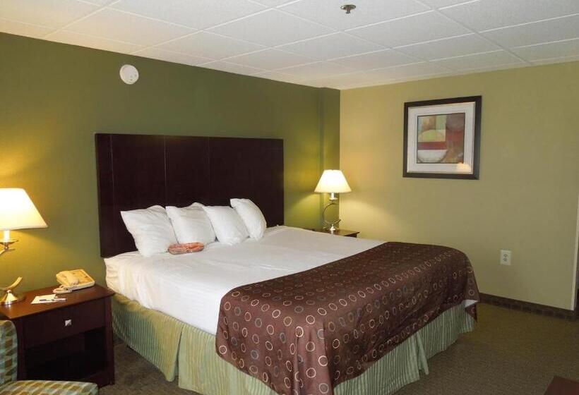 Стандартный Номер Кровать Кинг, Best Western Airport Inn & Suites Cleveland