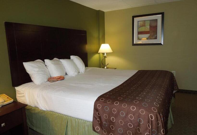 Люкс Кровать Кинг, Best Western Airport Inn & Suites Cleveland