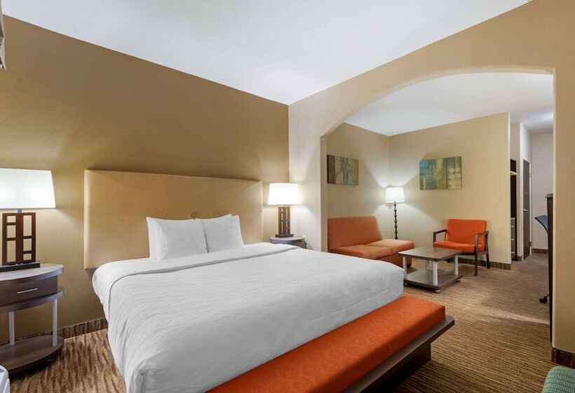 سوییت, Best Western Plus Dfw Airport Suites
