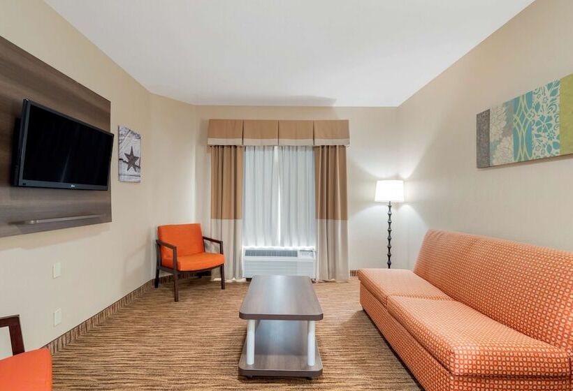 سوییت, Best Western Plus Dfw Airport Suites
