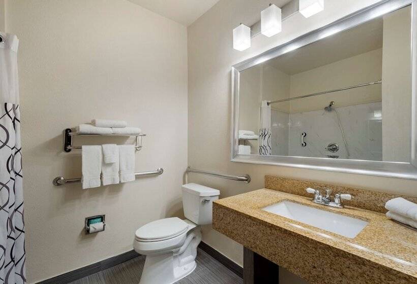 Suite Przystosowany dla Osób Niepełnosprawnych, Best Western Plus Dfw Airport Suites