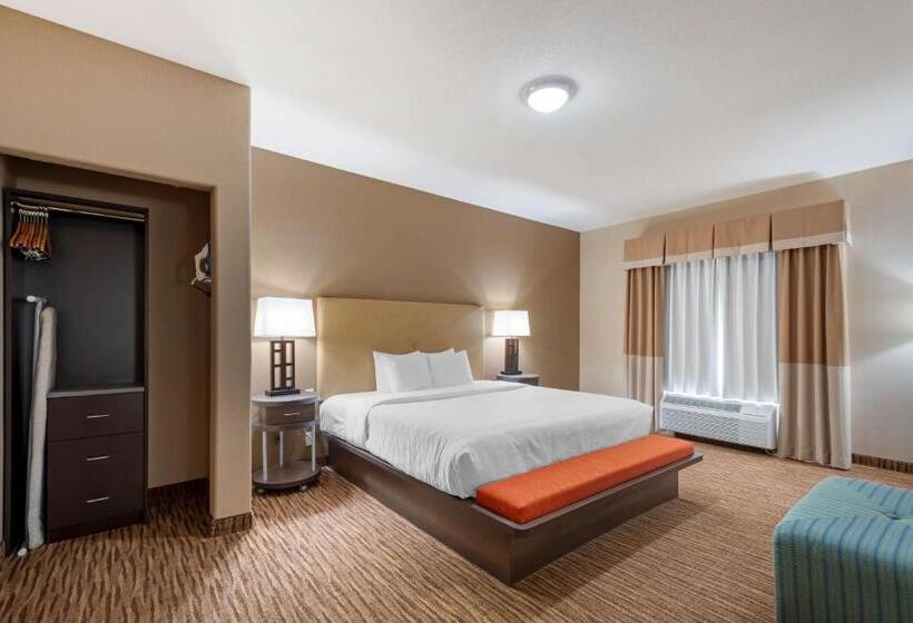 سوئیت با تخت بزرگ, Best Western Plus Dfw Airport Suites