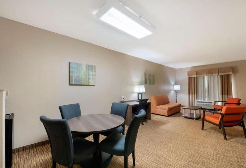 سوییت, Best Western Plus Dfw Airport Suites