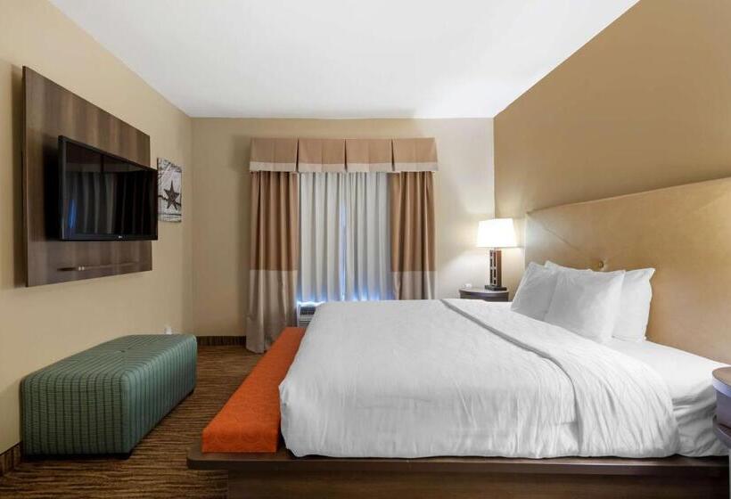 Suite Łóżko King Size, Best Western Plus Dfw Airport Suites